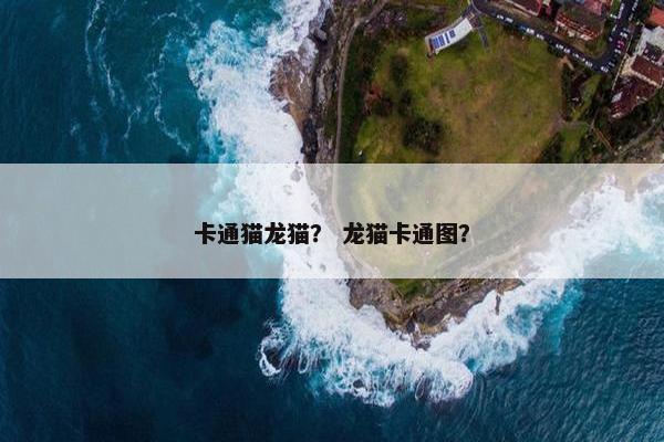 卡通猫龙猫？ 龙猫卡通图？