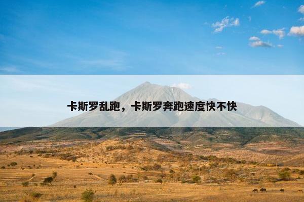 卡斯罗乱跑，卡斯罗奔跑速度快不快