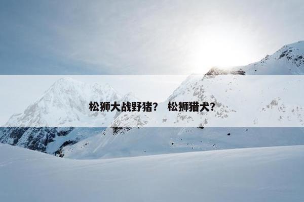 松狮大战野猪？ 松狮猎犬？