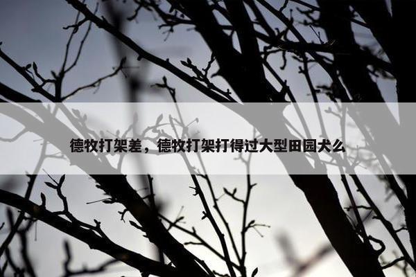 德牧打架差，德牧打架打得过大型田园犬么