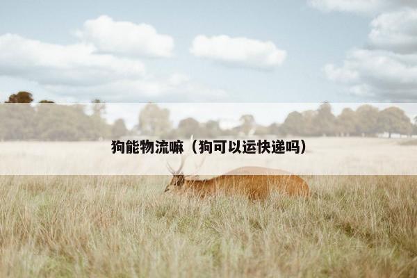 狗能物流嘛（狗可以运快递吗）