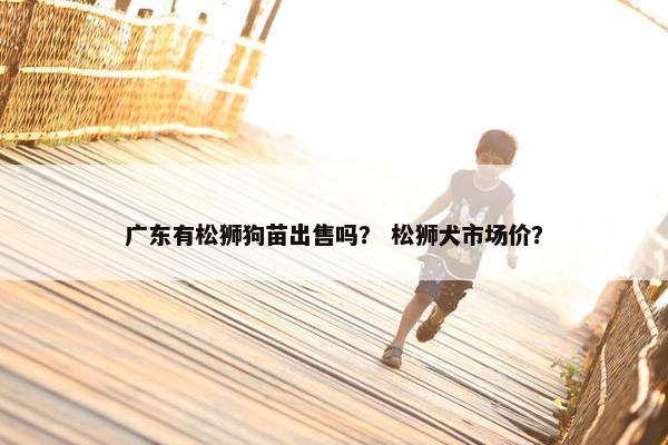 广东有松狮狗苗出售吗？ 松狮犬市场价？