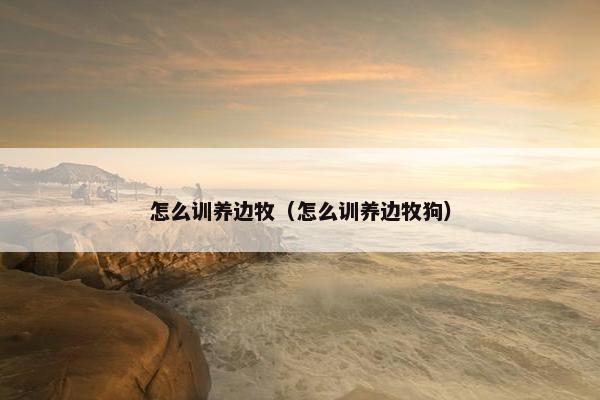 怎么训养边牧（怎么训养边牧狗）