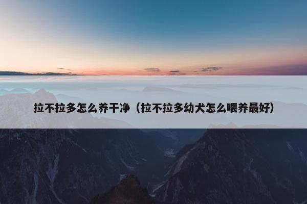 拉不拉多怎么养干净（拉不拉多幼犬怎么喂养最好）