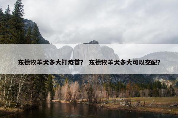 东德牧羊犬多大打疫苗？ 东德牧羊犬多大可以交配？