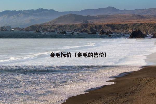 金毛标价（金毛的售价）