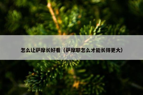 怎么让萨摩长好看（萨摩耶怎么才能长得更大）