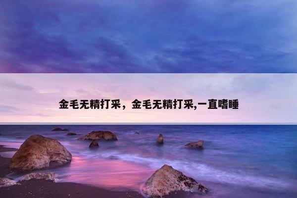 金毛无精打采，金毛无精打采,一直嗜睡