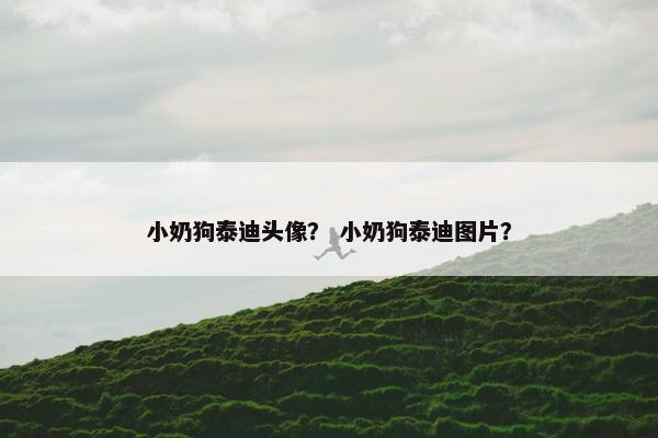 小奶狗泰迪头像？ 小奶狗泰迪图片？