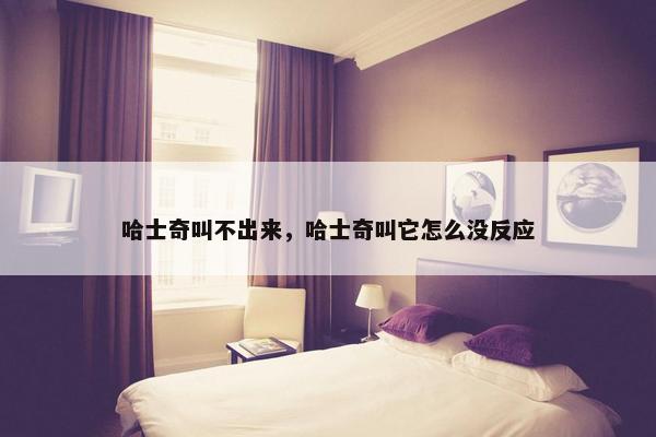 哈士奇叫不出来，哈士奇叫它怎么没反应