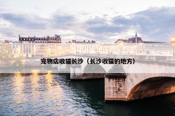 宠物店收猫长沙（长沙收猫的地方）