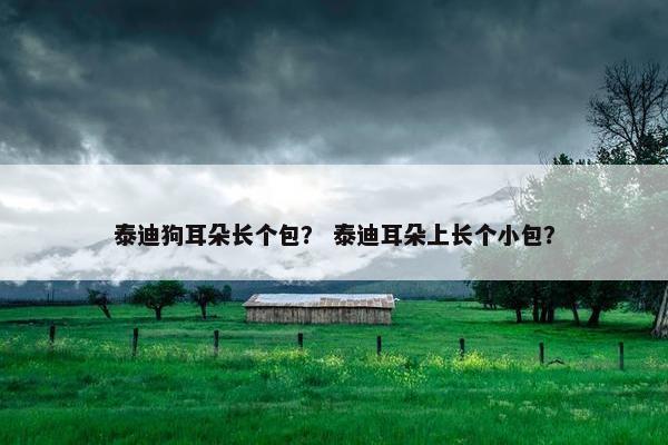 泰迪狗耳朵长个包？ 泰迪耳朵上长个小包？