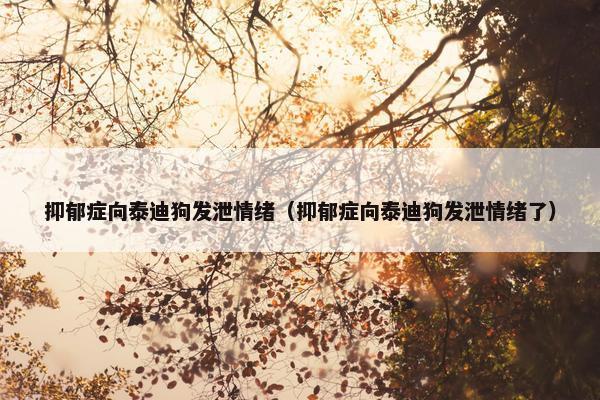 抑郁症向泰迪狗发泄情绪（抑郁症向泰迪狗发泄情绪了）