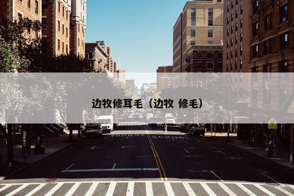 边牧修耳毛（边牧 修毛）