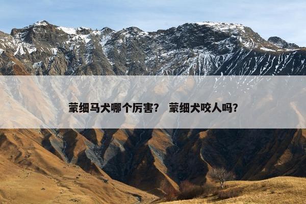 蒙细马犬哪个厉害？ 蒙细犬咬人吗？