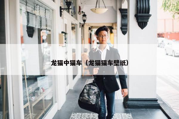龙猫中猫车（龙猫猫车壁纸）