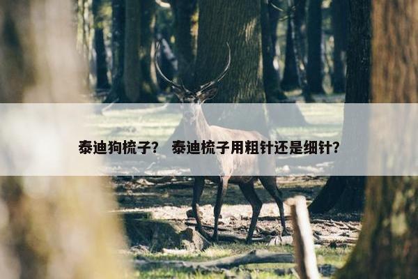 泰迪狗梳子？ 泰迪梳子用粗针还是细针？