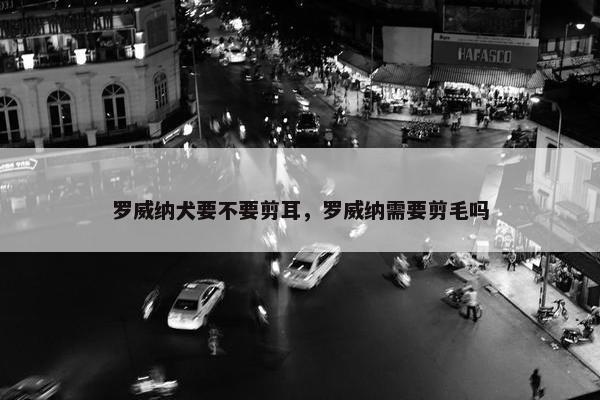 罗威纳犬要不要剪耳，罗威纳需要剪毛吗