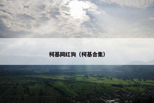 柯基网红狗（柯基合集）