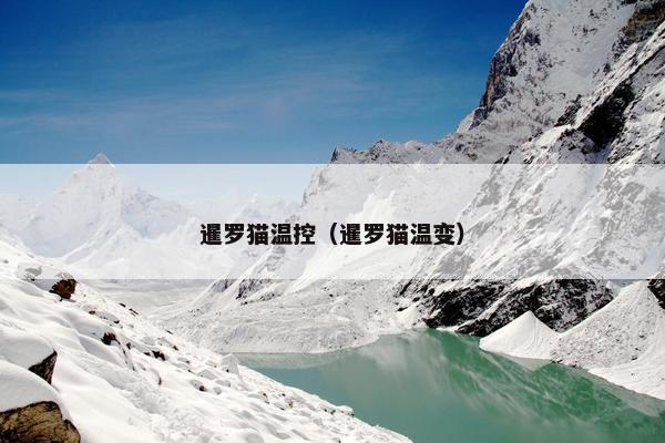 暹罗猫温控（暹罗猫温变）