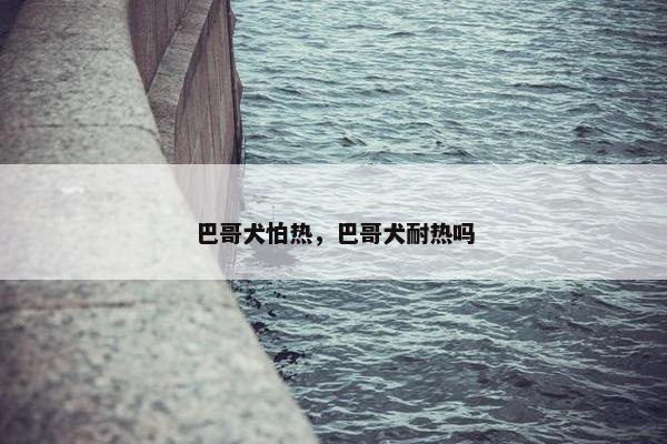 巴哥犬怕热，巴哥犬耐热吗