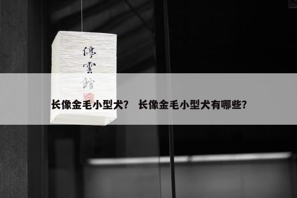 长像金毛小型犬？ 长像金毛小型犬有哪些？