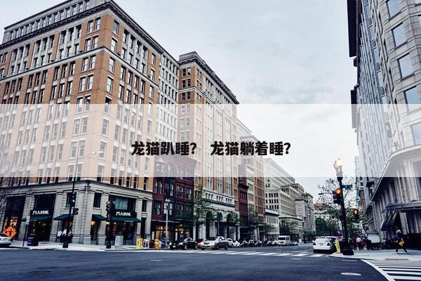 龙猫趴睡？ 龙猫躺着睡？