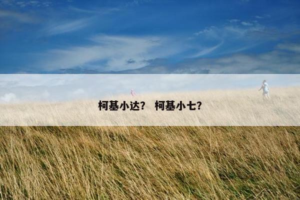 柯基小达？ 柯基小七？