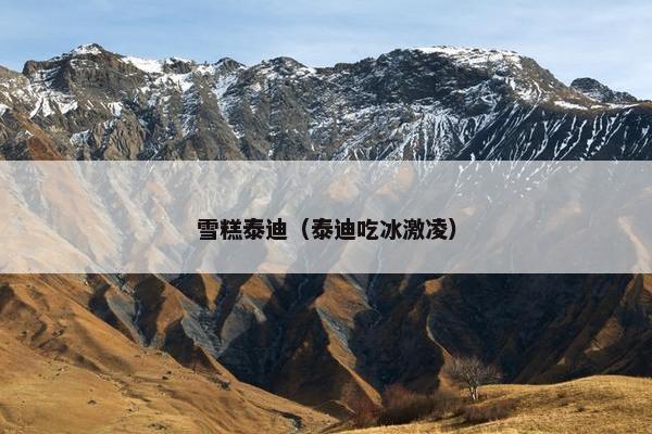 雪糕泰迪（泰迪吃冰激凌）