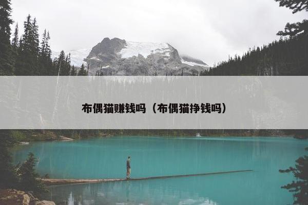 布偶猫赚钱吗（布偶猫挣钱吗）