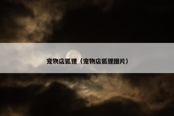 宠物店狐狸（宠物店狐狸图片）