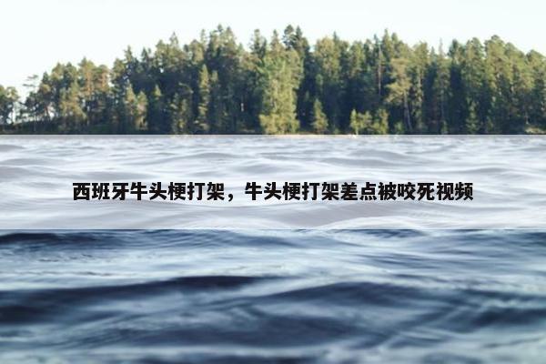 西班牙牛头梗打架，牛头梗打架差点被咬死视频