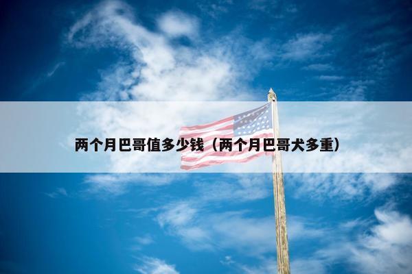 两个月巴哥值多少钱（两个月巴哥犬多重）