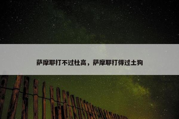 萨摩耶打不过杜高，萨摩耶打得过土狗