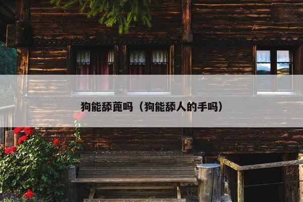 狗能舔蓖吗（狗能舔人的手吗）
