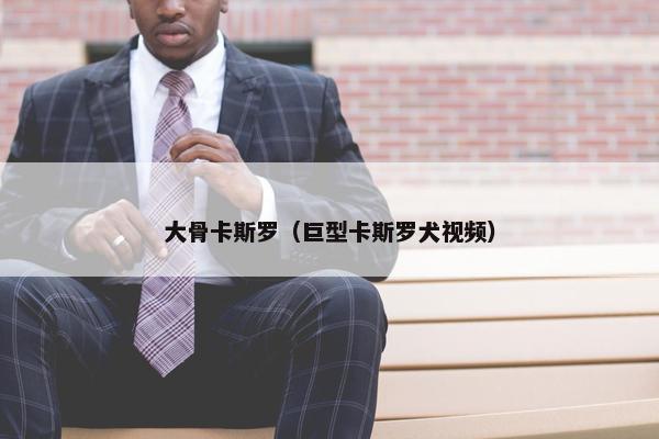 大骨卡斯罗（巨型卡斯罗犬视频）