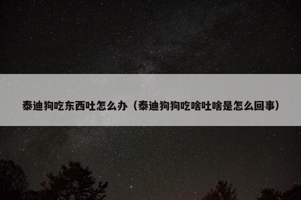 泰迪狗吃东西吐怎么办（泰迪狗狗吃啥吐啥是怎么回事）