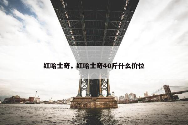 红哈士奇，红哈士奇40斤什么价位