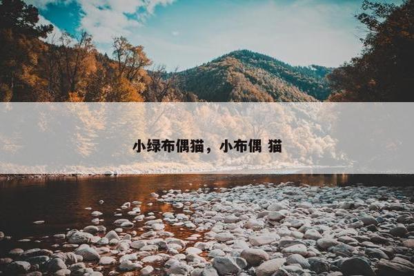 小绿布偶猫，小布偶 猫