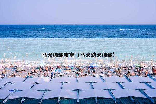 马犬训练宝宝（马犬幼犬训练）