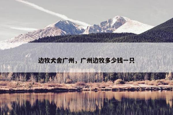 边牧犬舍广州，广州边牧多少钱一只