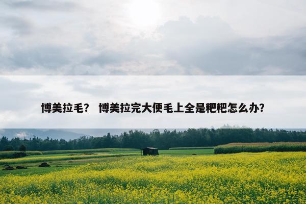 博美拉毛？ 博美拉完大便毛上全是粑粑怎么办？