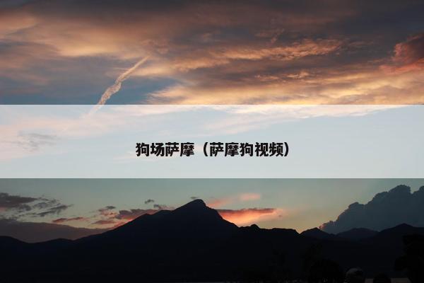 狗场萨摩（萨摩狗视频）
