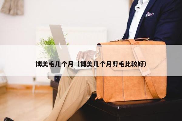 博美毛几个月（博美几个月剪毛比较好）