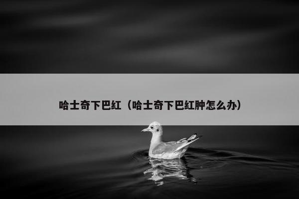 哈士奇下巴红（哈士奇下巴红肿怎么办）