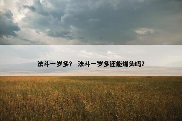 法斗一岁多？ 法斗一岁多还能爆头吗？