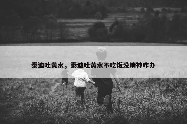 泰迪吐黄水，泰迪吐黄水不吃饭没精神咋办