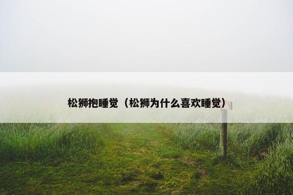松狮抱睡觉（松狮为什么喜欢睡觉）
