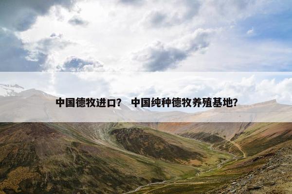 中国德牧进口？ 中国纯种德牧养殖基地？