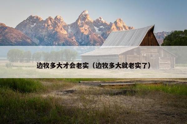边牧多大才会老实（边牧多大就老实了）